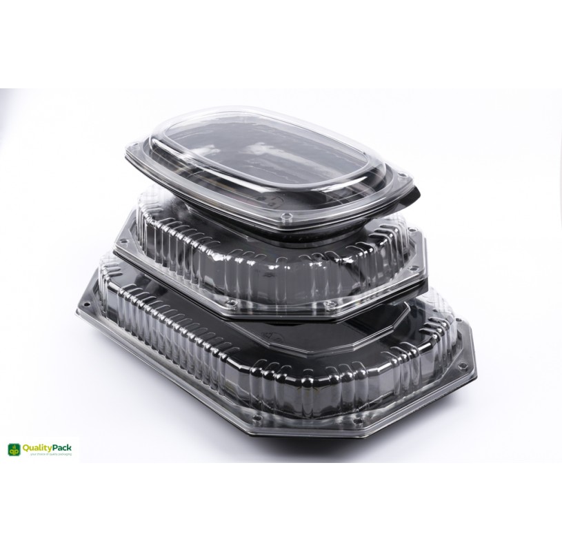 PLATOU SERVIRE CU CAPAC CS295 4